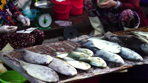 千島湖魚街在哪裏：探索魚街之美的旅程